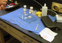 Ana Remond gathers materials on a clean work surface, including a stone powder which is used to cover a wax model.