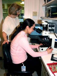 Christy Ludlow and Clinical Fellow, Kristina Simonyam, look at a patient's brain tissue under a microscope.