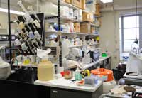 Dr. Chew’s laboratory, where much of her basic research is performed.
