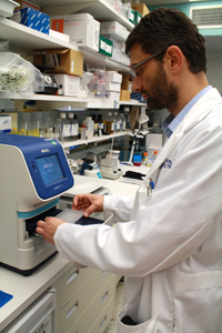 Ilias Alevizos uses a machine to perform a version of real-time polymermase chain reaction (RT-PCR), which measures the RNA expression levels of a gene.