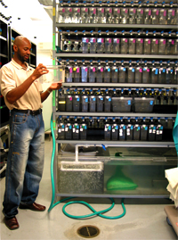 Most of Milton's experiments begin with a trip to the 