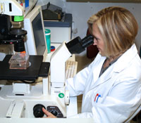 Ofelia looks at cancer cells under the microscope.