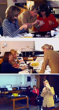 Peggy Deichstetter conducts professional development training for high school biology teachers.