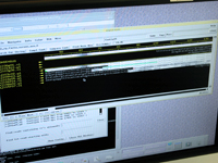 Peggy analyzes the DNA sequences using a software program that makes it easy to spot the areas where the sequence is incomplete.