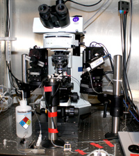 Zayd works in an instrument room, as shown, that includes a microscope and a device to measure voltage changes across brain cell membranes.
